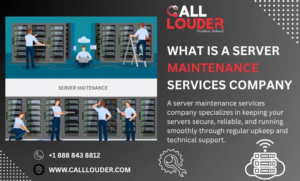What is a server maintenance services company?